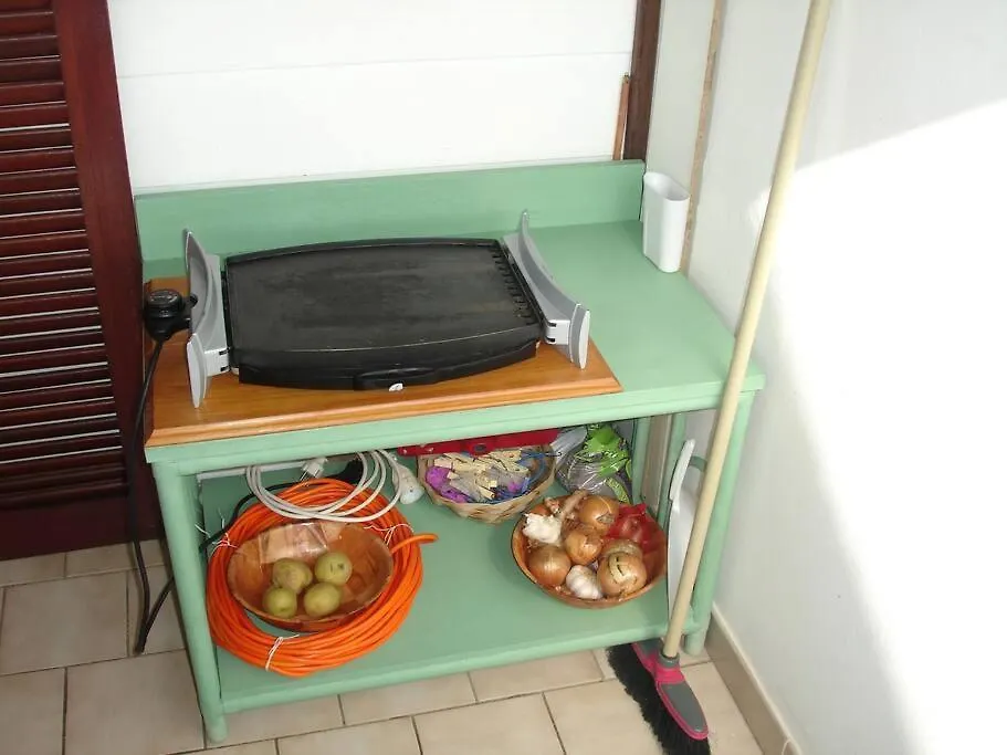 Papayer ! Le Studio Pour Des Vacances Tropicales Le Diamant