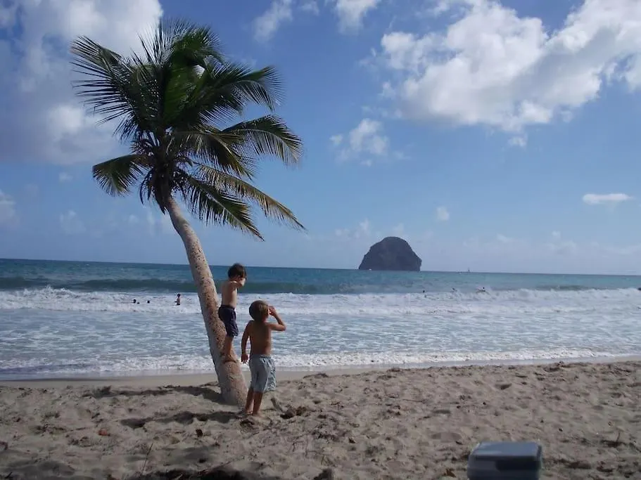 Papayer ! Le Studio Pour Des Vacances Tropicales Le Diamant