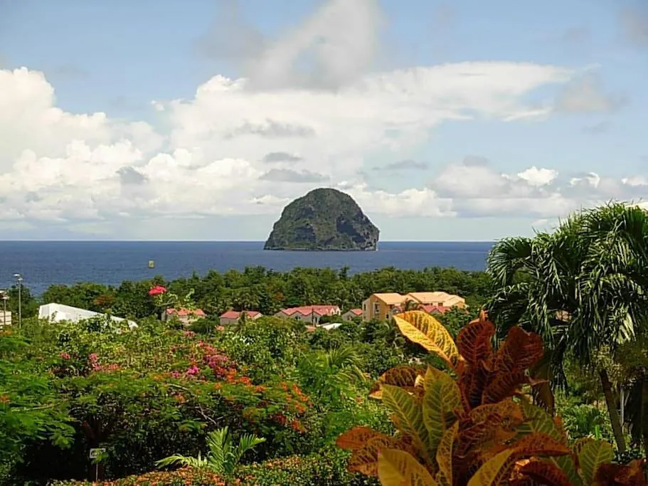 Papayer ! Le Studio Pour Des Vacances Tropicales Le Diamant Apartment