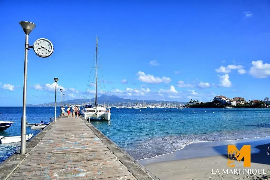 Papayer ! Le Studio Pour Des Vacances Tropicales Le Diamant Martinique