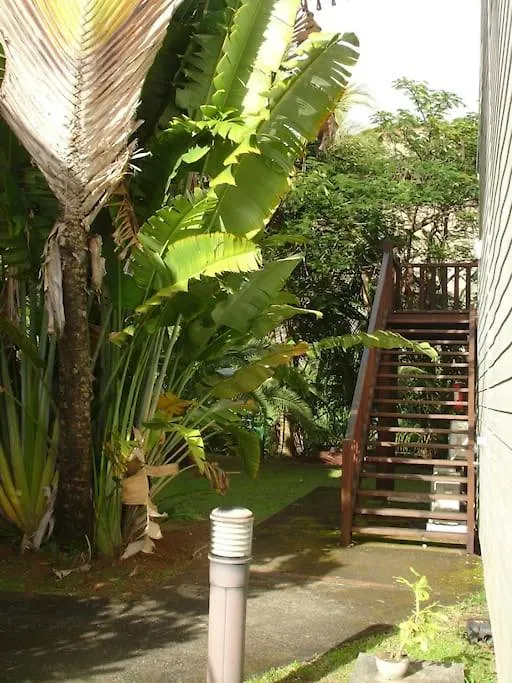 Papayer ! Le Studio Pour Des Vacances Tropicales Le Diamant Martinique