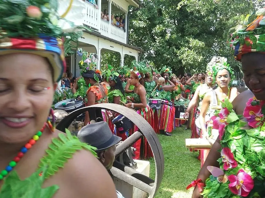 Papayer ! Le Studio Pour Des Vacances Tropicales Le Diamant Martinique