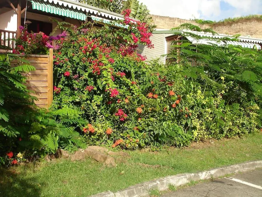 Papayer ! Le Studio Pour Des Vacances Tropicales Le Diamant 0*,  Martinique